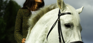 Erstellung von Befund und Gutachten über Unfälle im Pferdesport und der Pferdehaltung